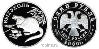 1 рубль 2000 года Выхухоль - 