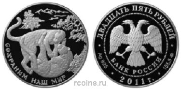 25 рублей 2011 года Переднеазиатский леопард - 